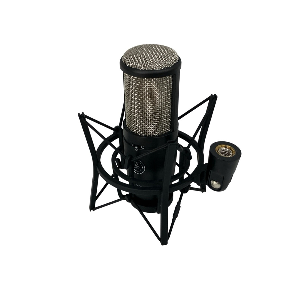Micro AKG P420