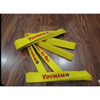 Đai Thêu Vovinam