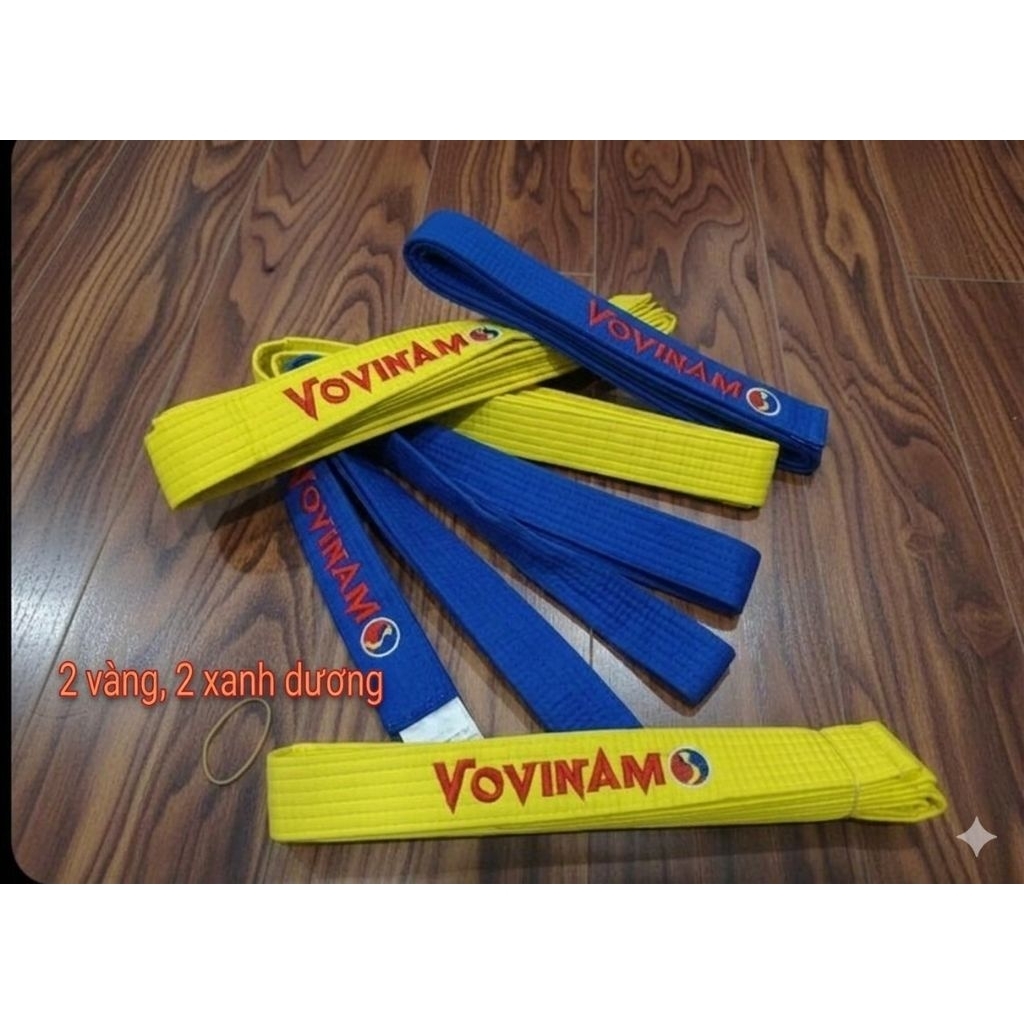 Đai Thêu Vovinam