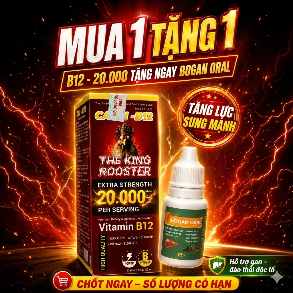 Combo CALCI B12 20.000mcg 50ml + Tặng 1 lọ Bogan oral