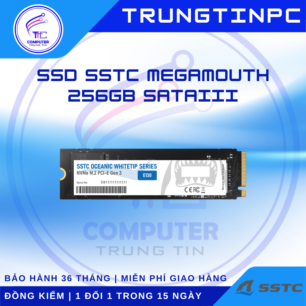 Ổ cứng SSD M.2 NVMe SSTC E130 Plus 256GB - Chính hãng, BH 36T