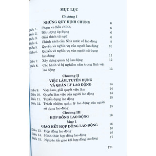 Sách - Bộ Luật Lao Động (Hiện Hành)