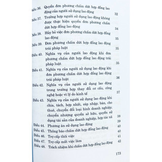 Sách - Bộ Luật Lao Động (Hiện Hành)
