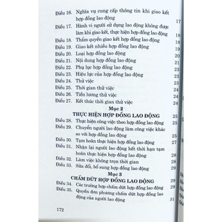 Sách - Bộ Luật Lao Động (Hiện Hành)