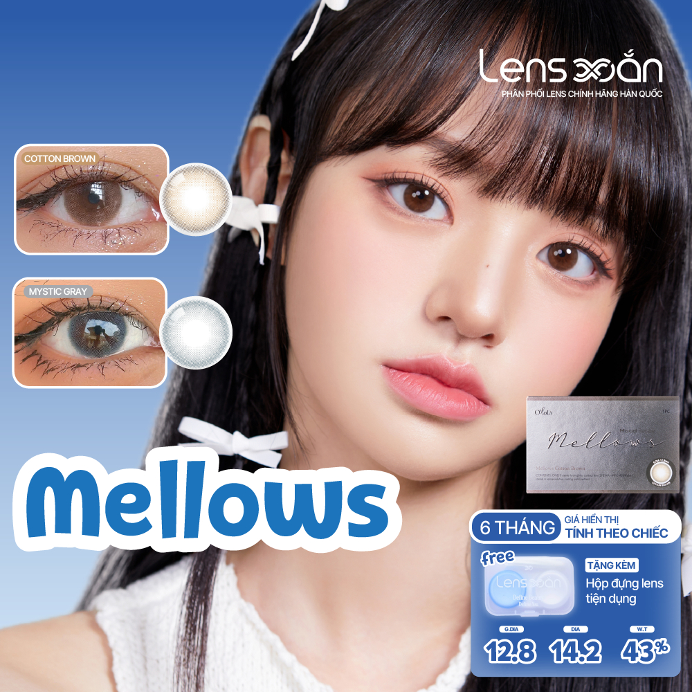 Kính áp tròng cận 6 tháng LENS XOẮN lens tự nhiên OLOLA MELLOWS
