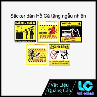 Decal dán hồ cá 3D nhiều kích thước, Tranh 3D Dán Bể Cá_MT 380