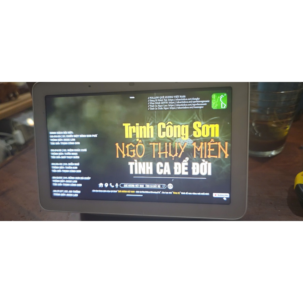 Google Nest Hub 1st