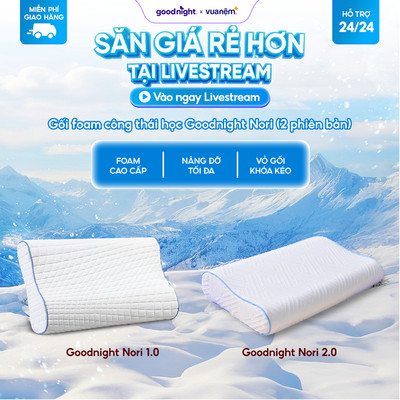 Gối Foam Goodnight Nori Gối Công Thái Học 30*60cm Gối Chống Đau Vai Gáy, Vua Nệm Gỗi hỗ trợ ngủ ngon