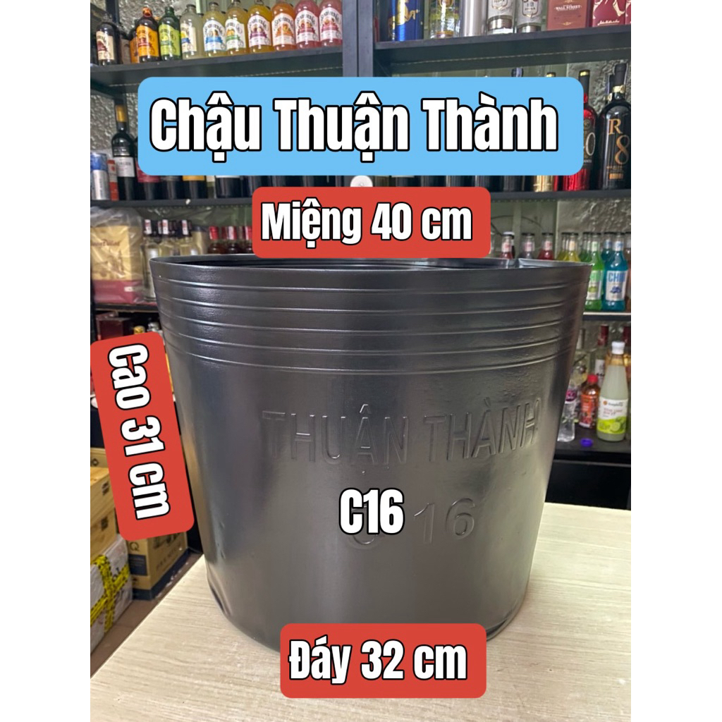 [Combo 20cái] Chậu C16 Thuận Thành- Màu Đen- Chính Hãng