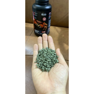 Cám yee cao cấp cho Ốc mượn hồn, cua kiểng .