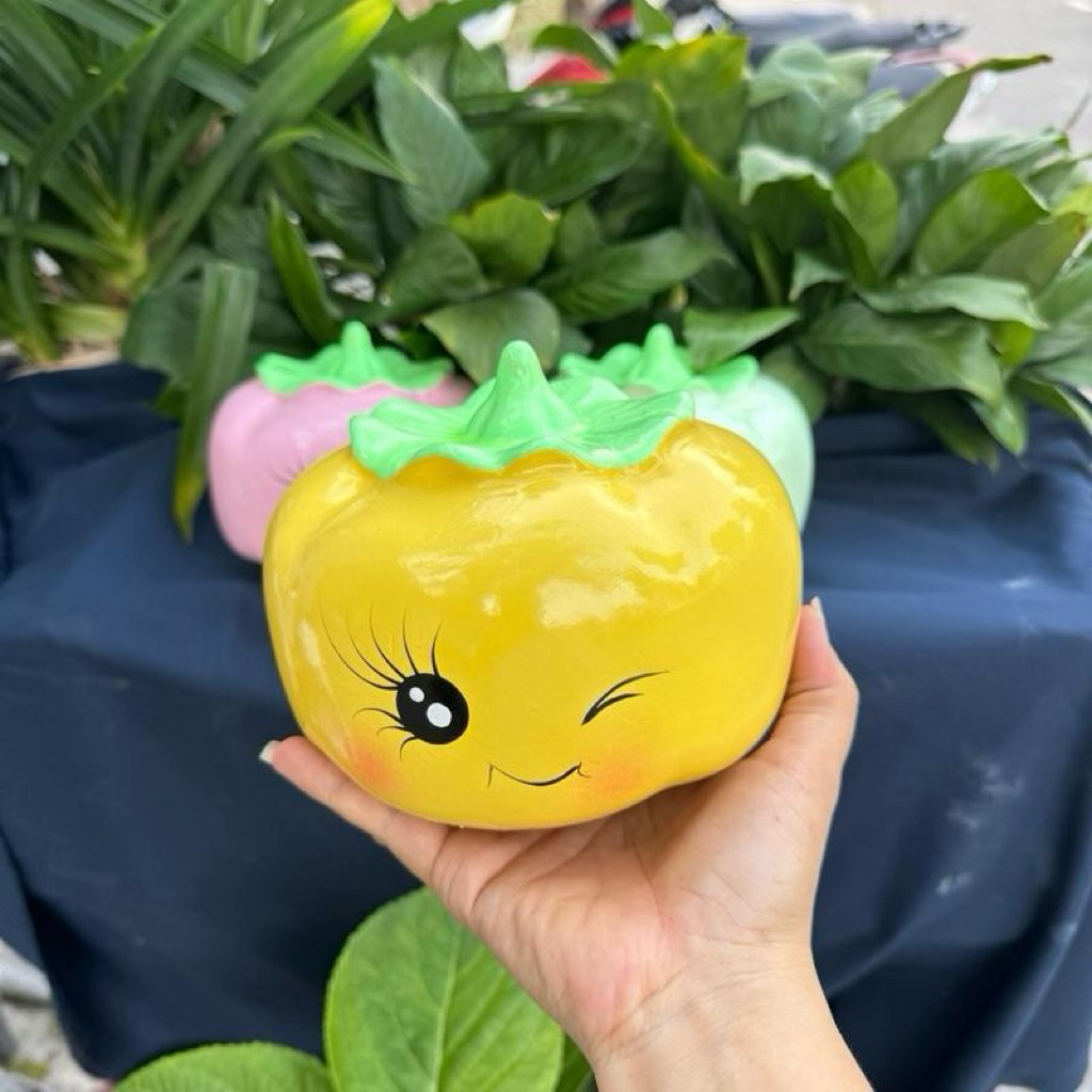 Trái Hồng Nhiều Màu Trang Trí Decor