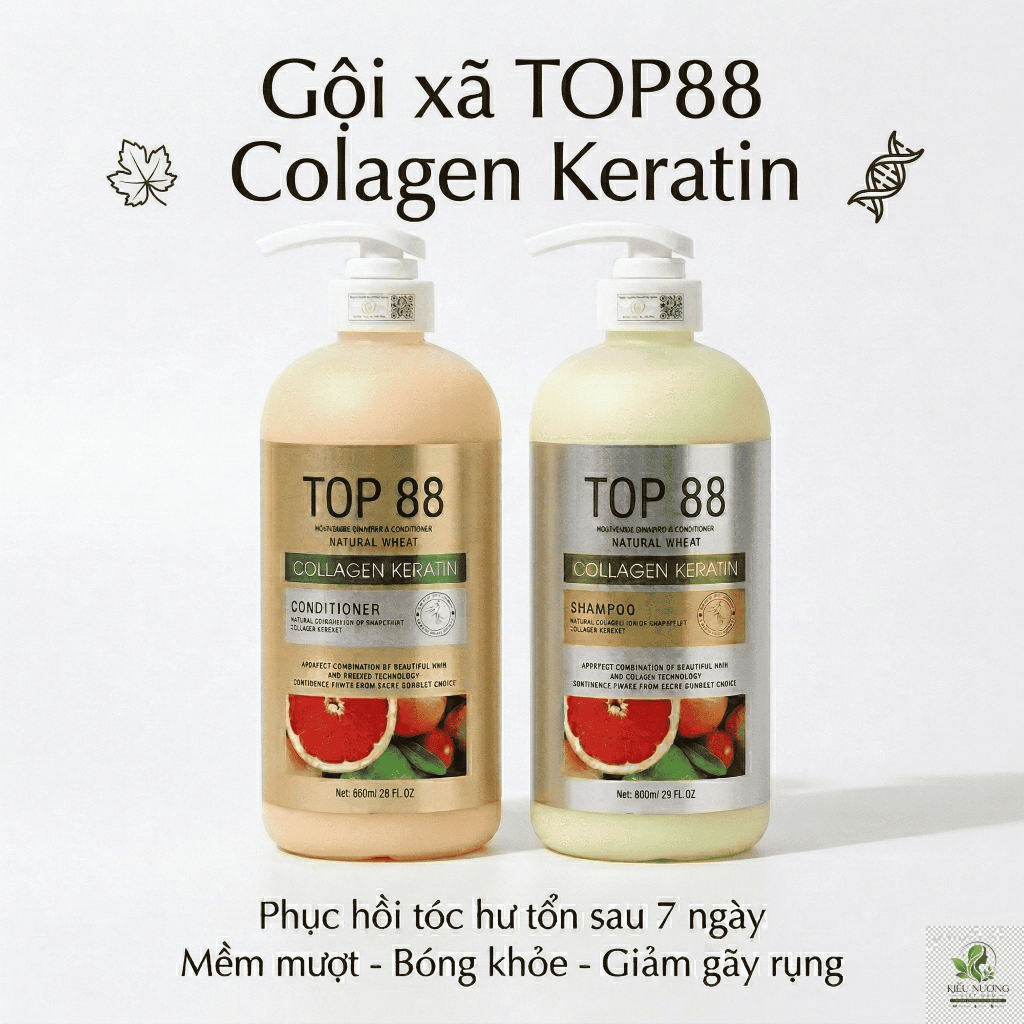 Combo Gội Xả TOP88 – Nuôi Dưỡng Chân Tóc, Hỗ Trợ Mọc Tóc Con, Tóc Mềm Mượt Chắc Khỏe
