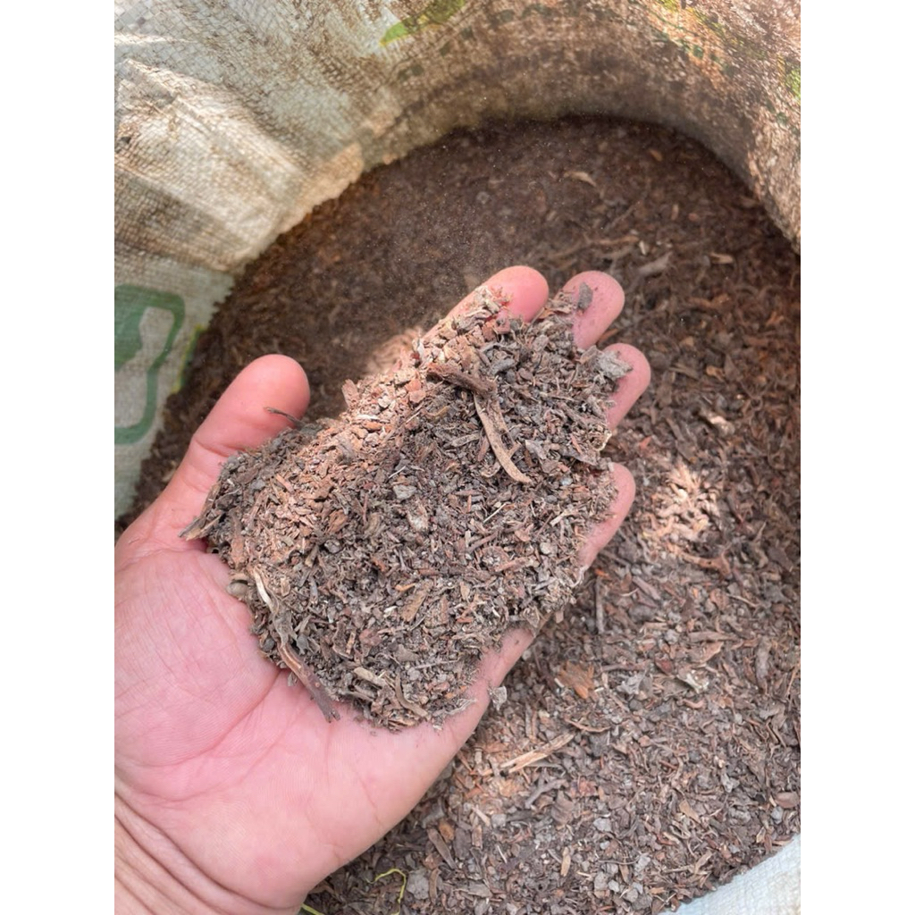 bột rễ dừa tỷ lệ 3 phần rễ 5 phần bột 2 phần đất
