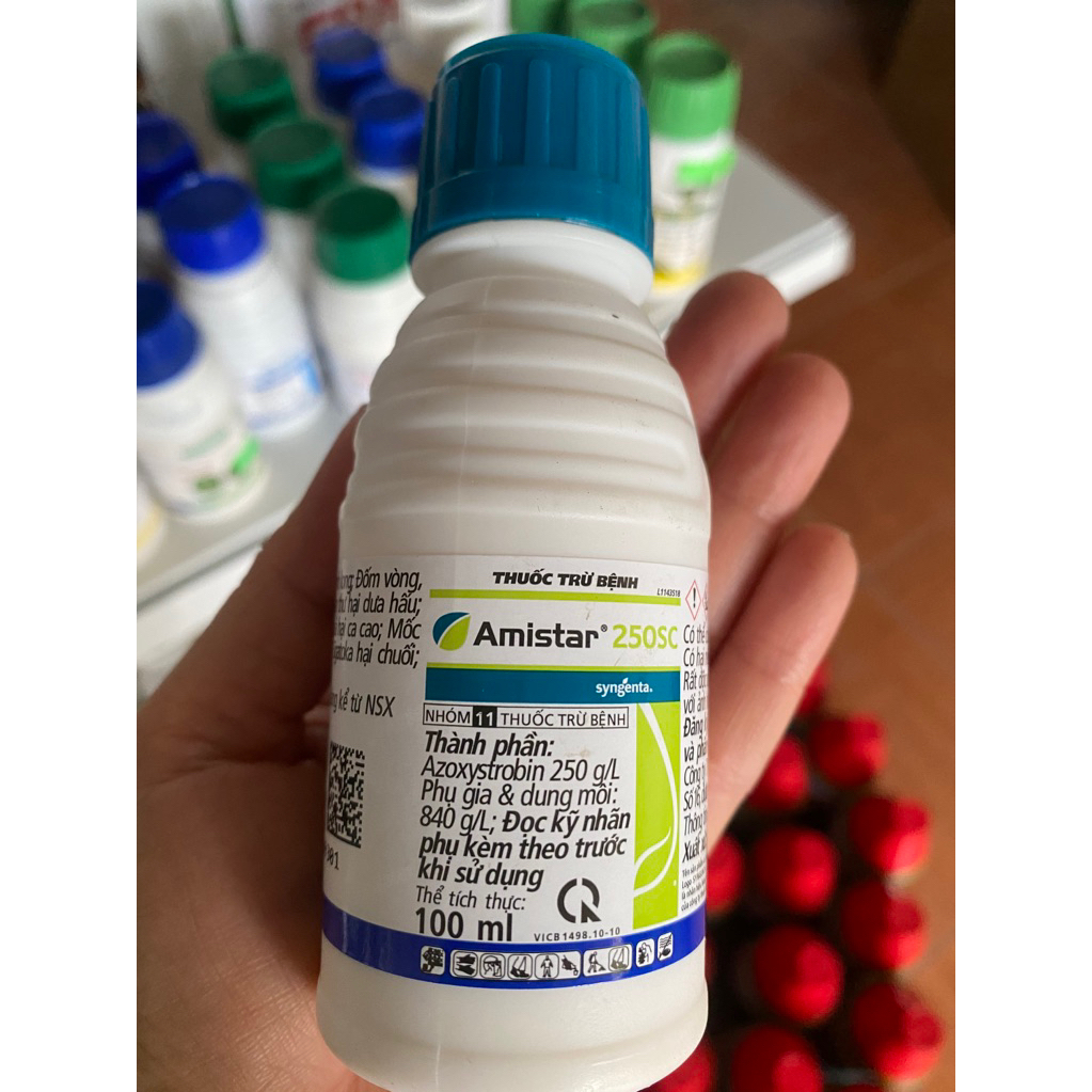 Combo 2 chai Amistar 250SC - Chai 100ml- phòng trừ thán thư nấm benh, giúp lá thêm xanh.