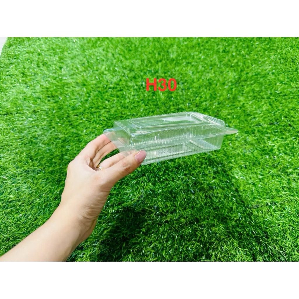 100c - HỘP NHỰA H30 tiện dụng