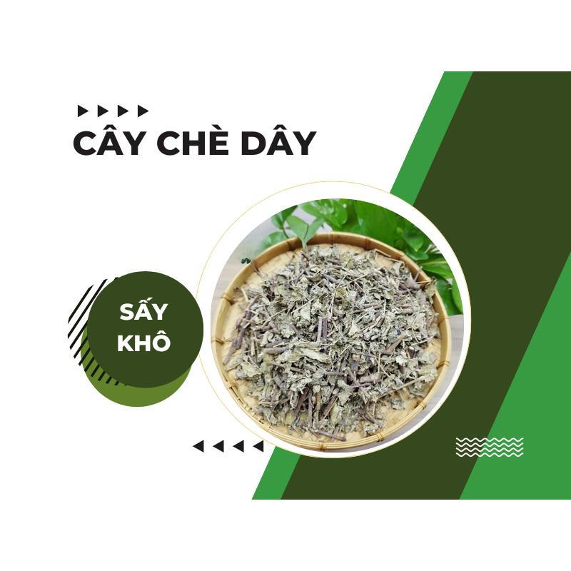 Chè dây (Chè núi) 3C FARM – THẢO MỘC TỰ NHIÊN HỖ TRỢ DẠ DÀY & TIÊU HÓA