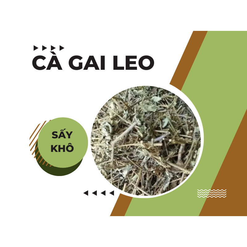 Cà Gai Leo Nguyên Chất (Loại 1) - Hỗ trợ Hạ Men Gan & Giải Độc  3C FARM