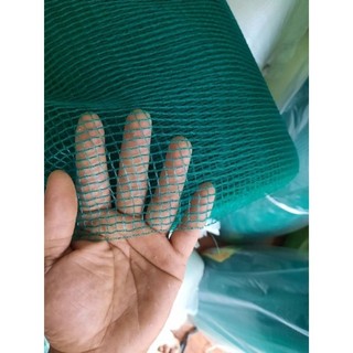 Vèo lưới nuôi ốc ếch cá lươn mắt lưới 5li mầu xanh, bền bỉ, độ bền cao