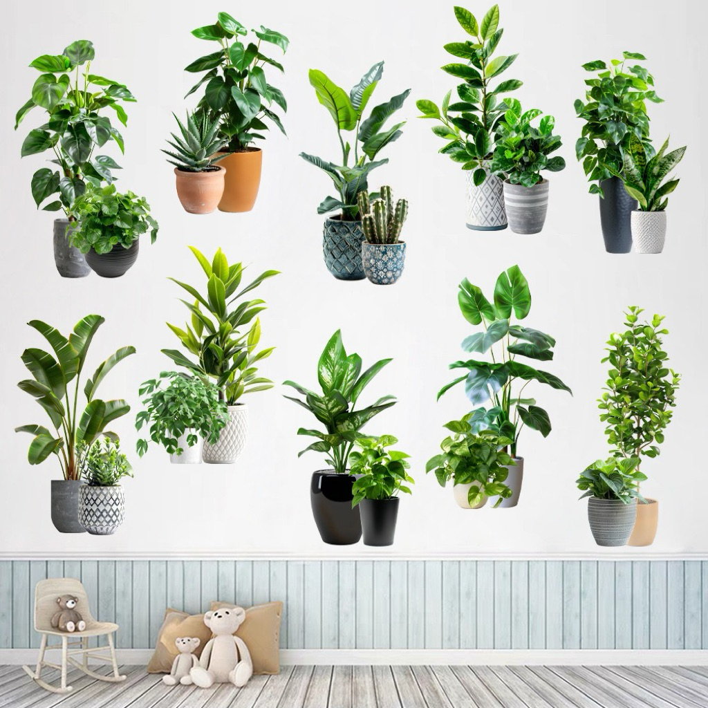 Decal Dán Tường Mẫu 10 Chậu Cây H31 Trang Trí Phòng Khách,Phòng Ngủ