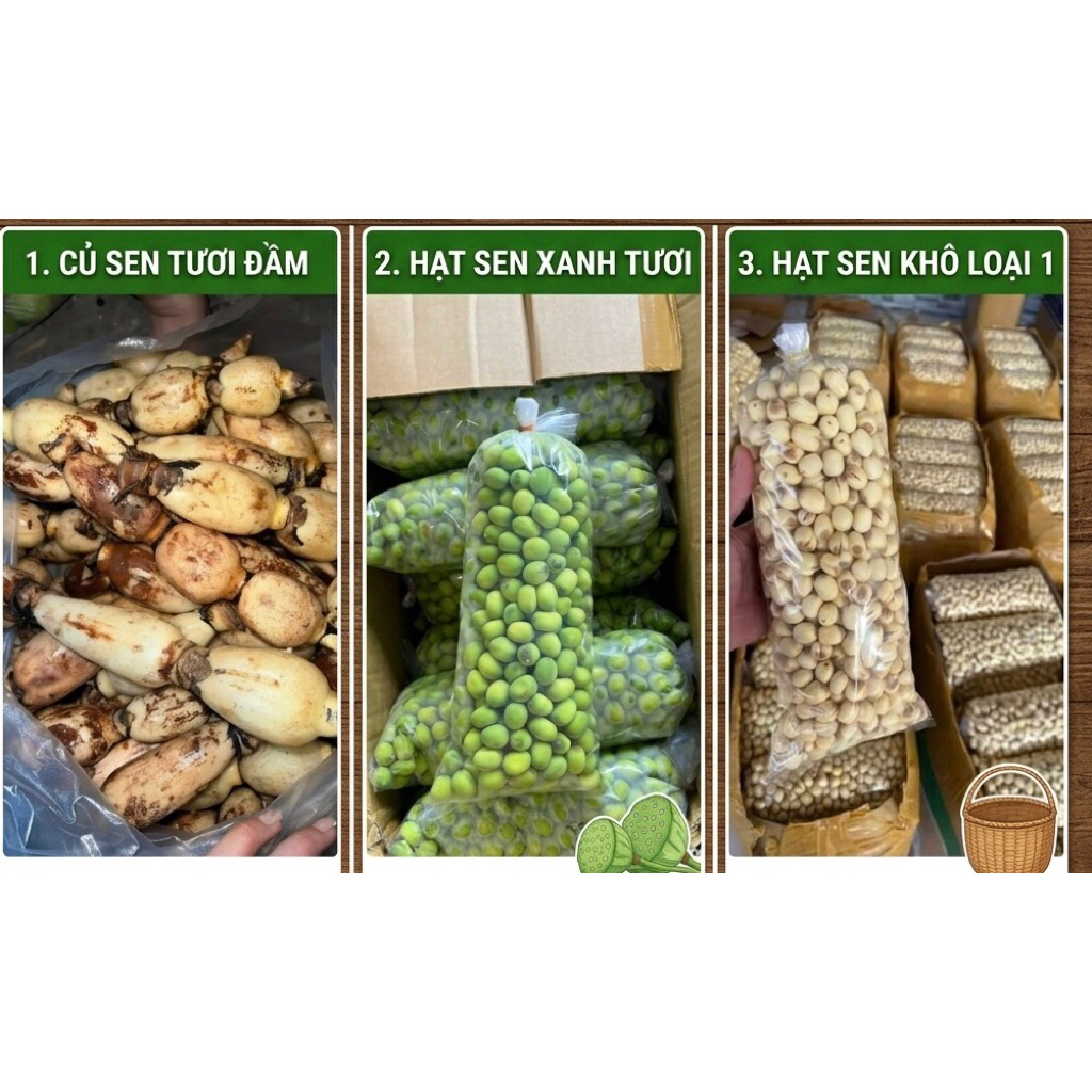 1 kg hạt sen tươi, 3kg củ sen tươi- chỉ ship Sài Gòn và các tỉnh lân cận
