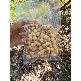 Hạt sen già tươi tách vỏ còn nhị và lớp lụa, (SEN TƯƠI) hạt sen già (sen tươi rám) còn vỏ lụa, nhị