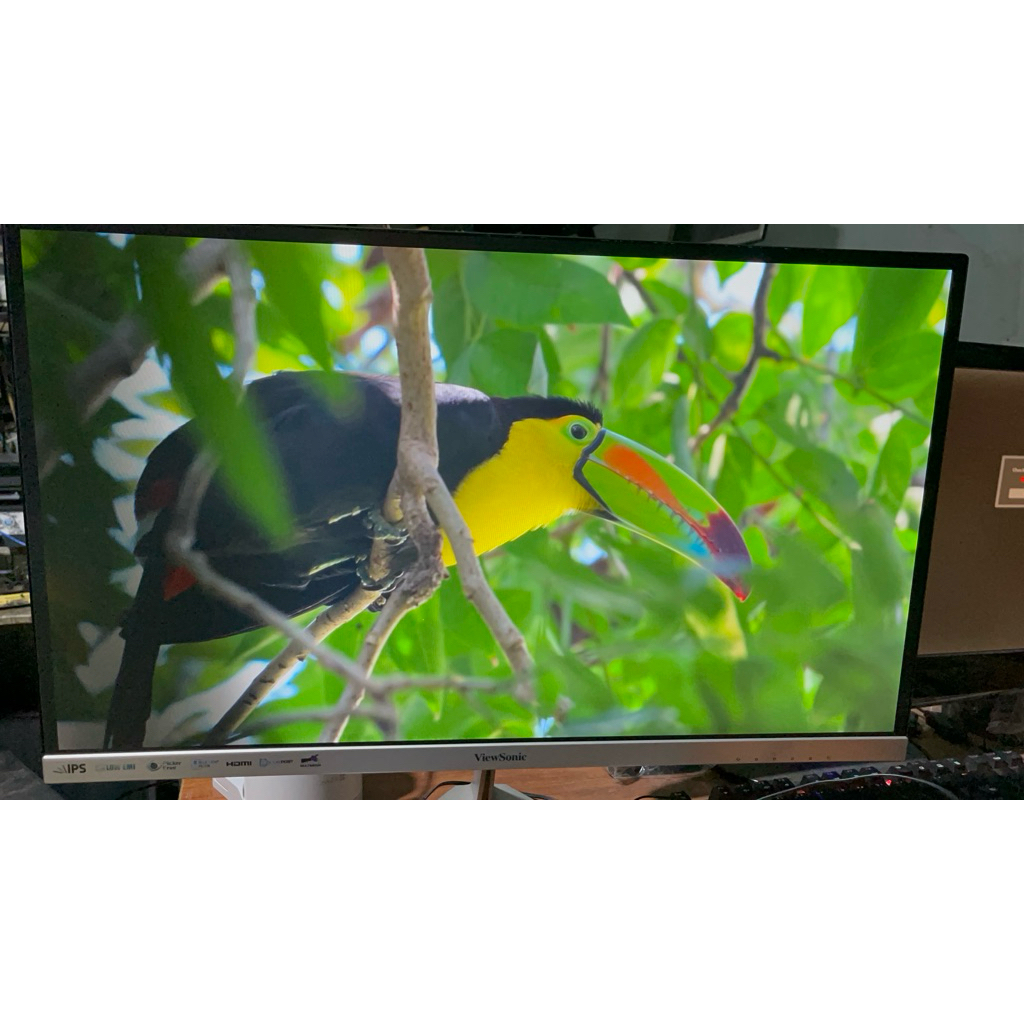 màn hình pc cũ các loại xấu đẹp