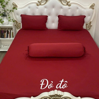 Bộ Drap GỐI Thun Hàn Quốc Mát Lạnh { 4 món }