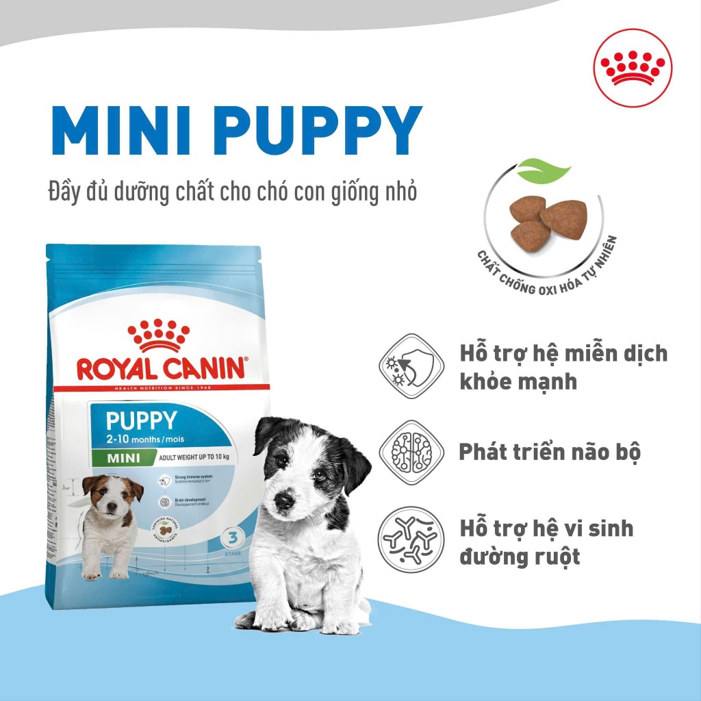 Hạt chó Royal Canin Mini Puppy cho chó con giống nhỏ 2kg Petemo Pet Shop