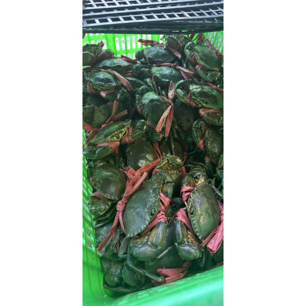 Cua gạch Cà Mau size 3 -4 con 1 kg