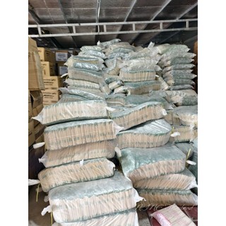 100 ĐÔI ĐŨA 5.5LY*23CM _XUẤT KHẨU