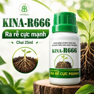 Phân Bón Lá NPK Sinh Học KINA R666 Vuonbabylon, Dưỡng Rễ Cây Trồng, Hỗ Trợ Cây Khỏe Mạnh - Chai 25ML