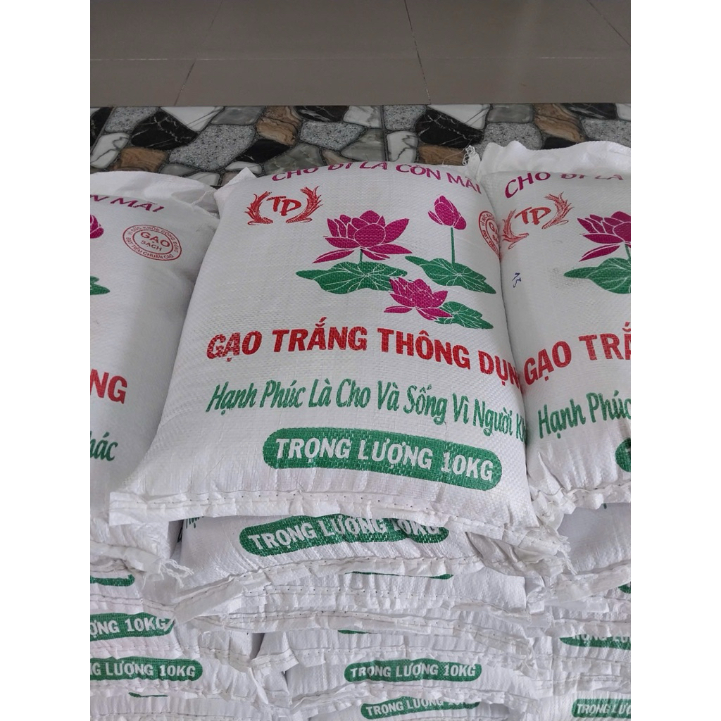 Gạo 504 mới túi 10kg