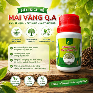 Siêu kích rễ Q.A - Vườn Mai Quyên