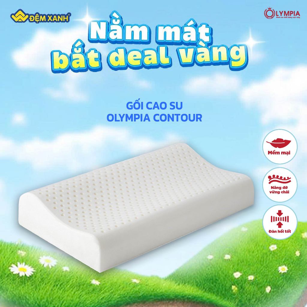Gối Cao Su Olympia Contour