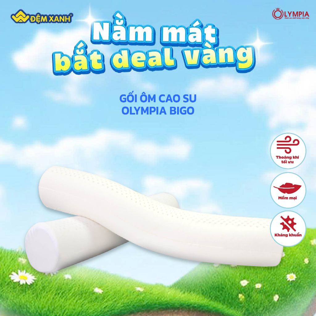 Gối ôm cao su Olympia Bigo 20x95cm