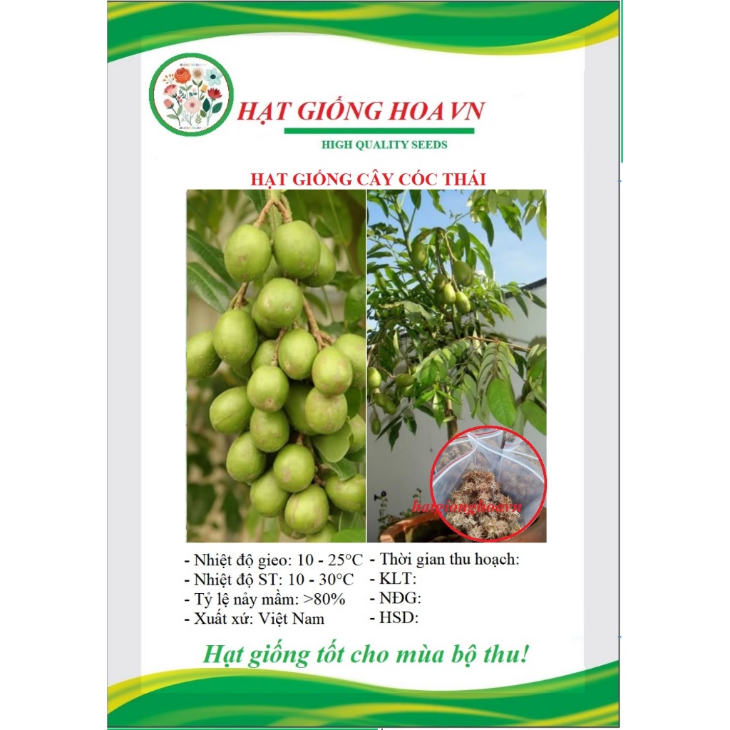 Quả cóc - Giá Tốt, Miễn Phí Vận Chuyển, Đủ Loại | Shopee Việt Nam