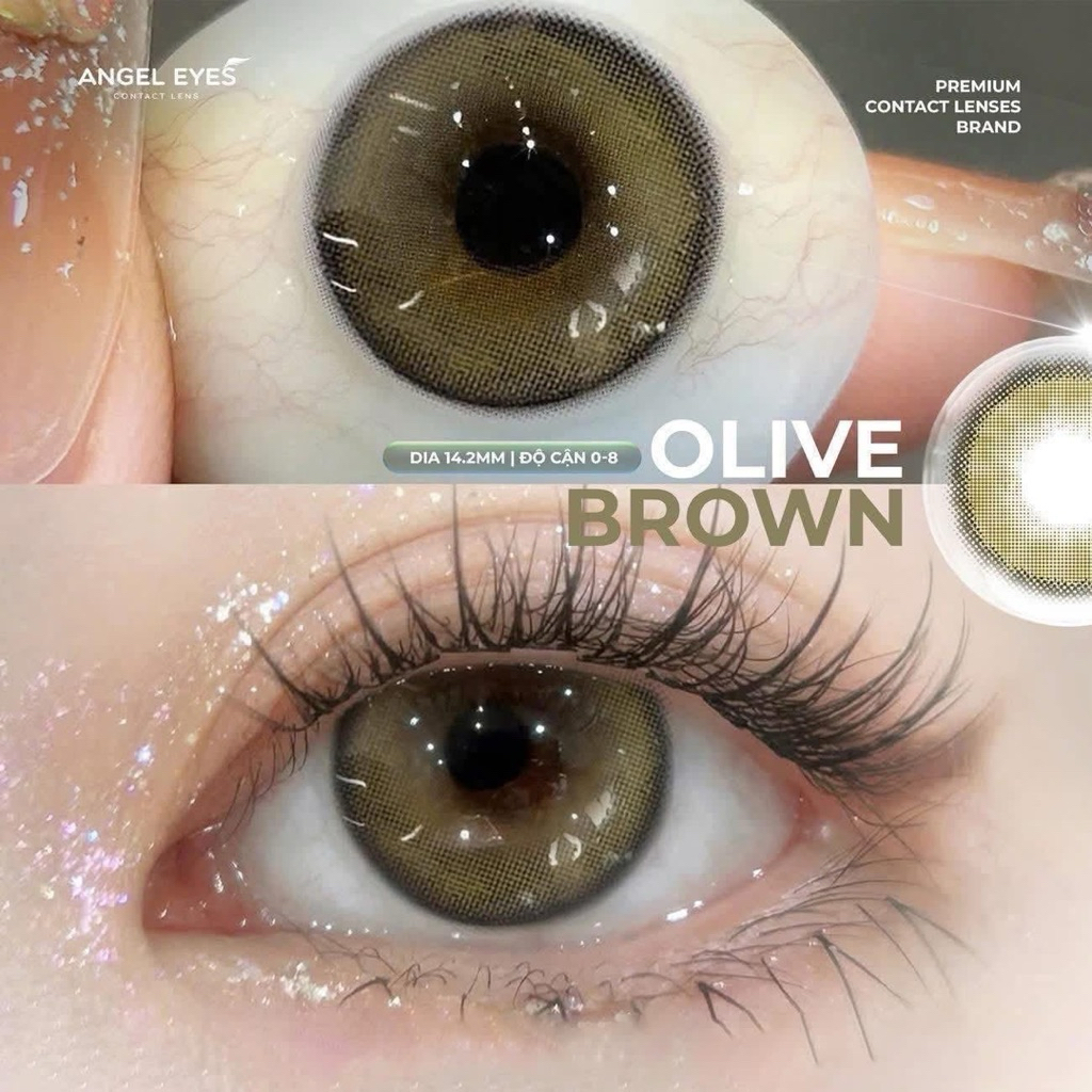 Lens Olive Plano Collection Angel Eyes (Không cận)