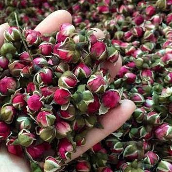 Trà nụ hoa hồng - Thảo Dược Tấn Phát