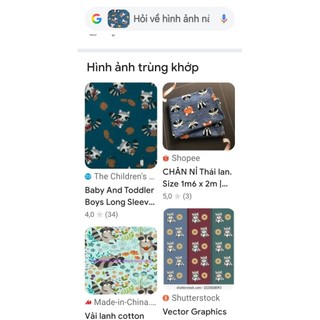 Vải thun poly hoa 3D