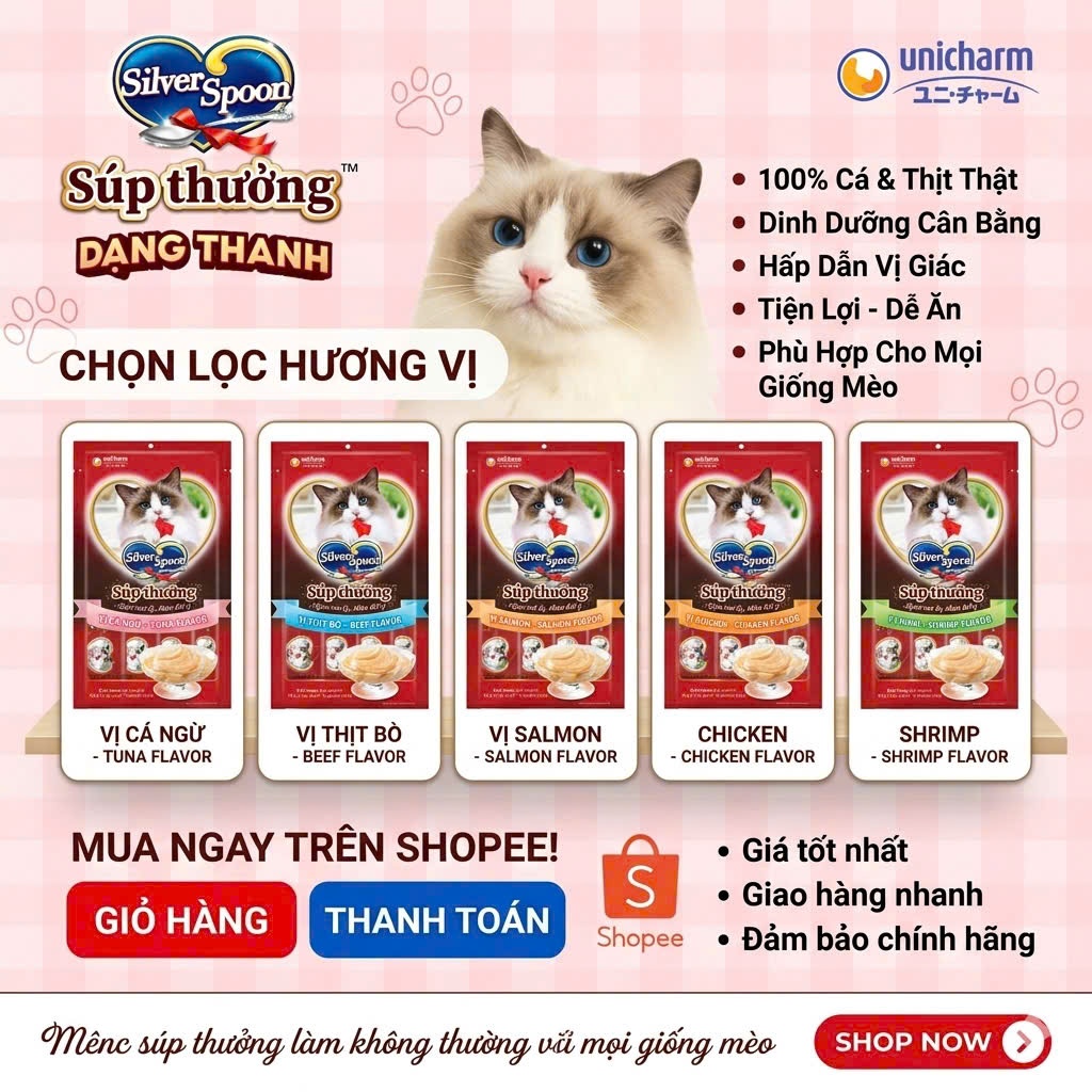 Súp thưởng dạng thanh Silver Spoon