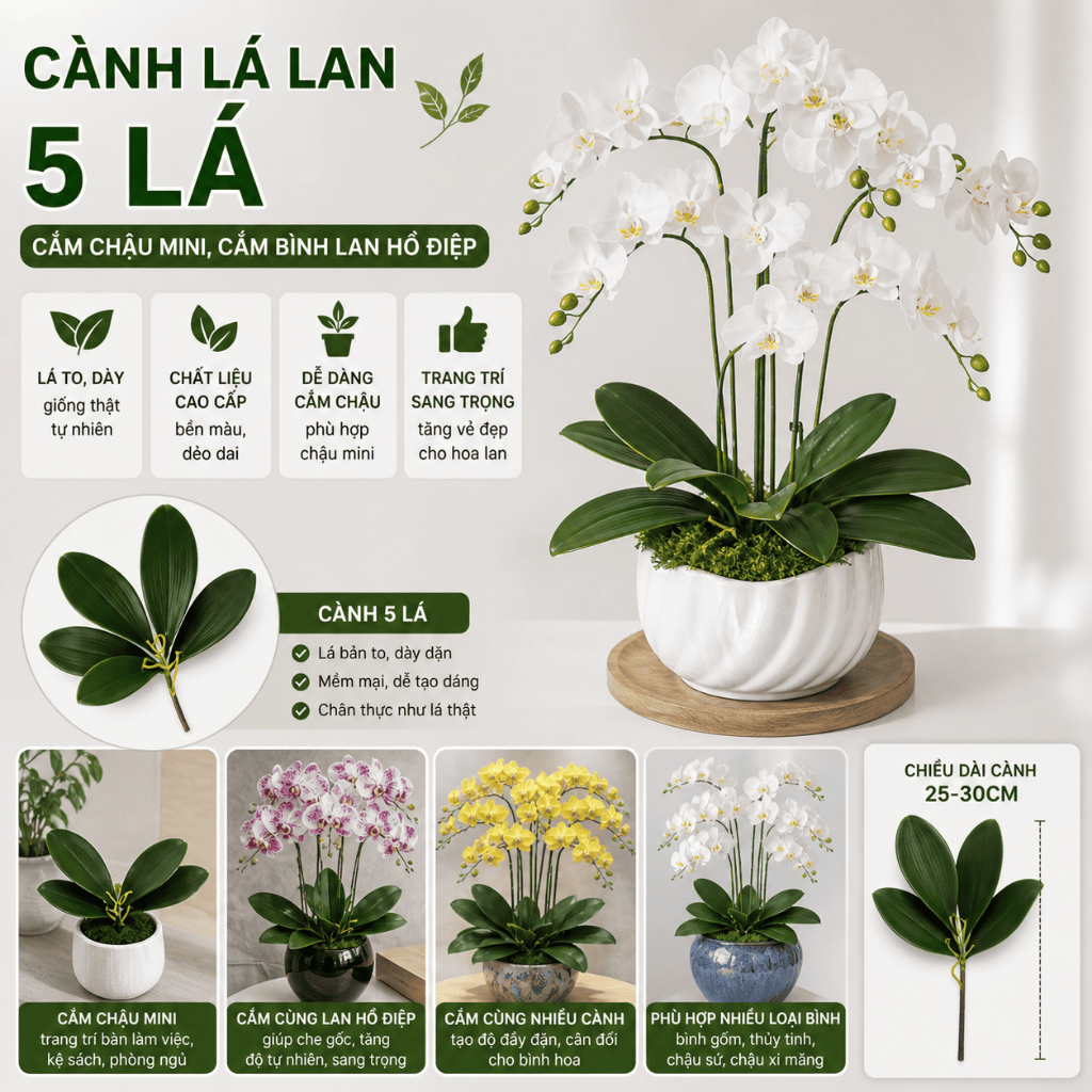 {Siêu Rẻ}- Cụm Lá lan hồ điệp giả 5 lá có rễ -size to giống thật -Cắm gốc lan hồ điệp, cắm chậu hoa 