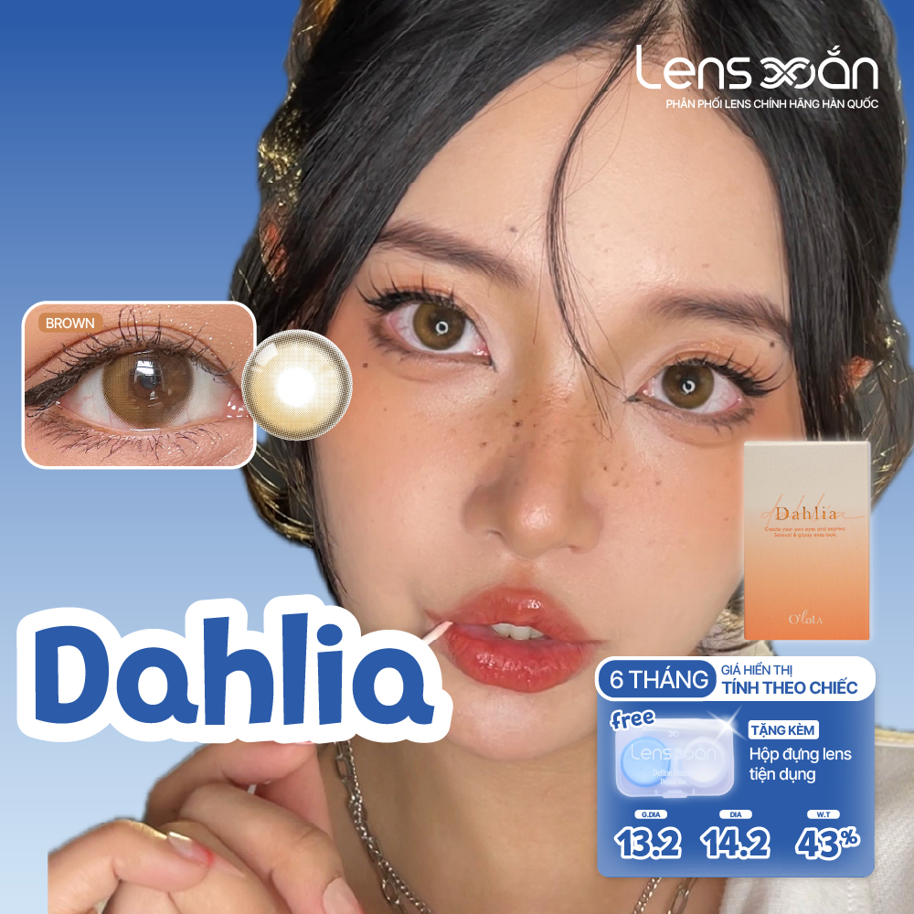 Kính áp tròng cận 6 tháng LENS XOẮN lens nâu hàn quốc phủ bóng OLOLA DAHLIA BROWN