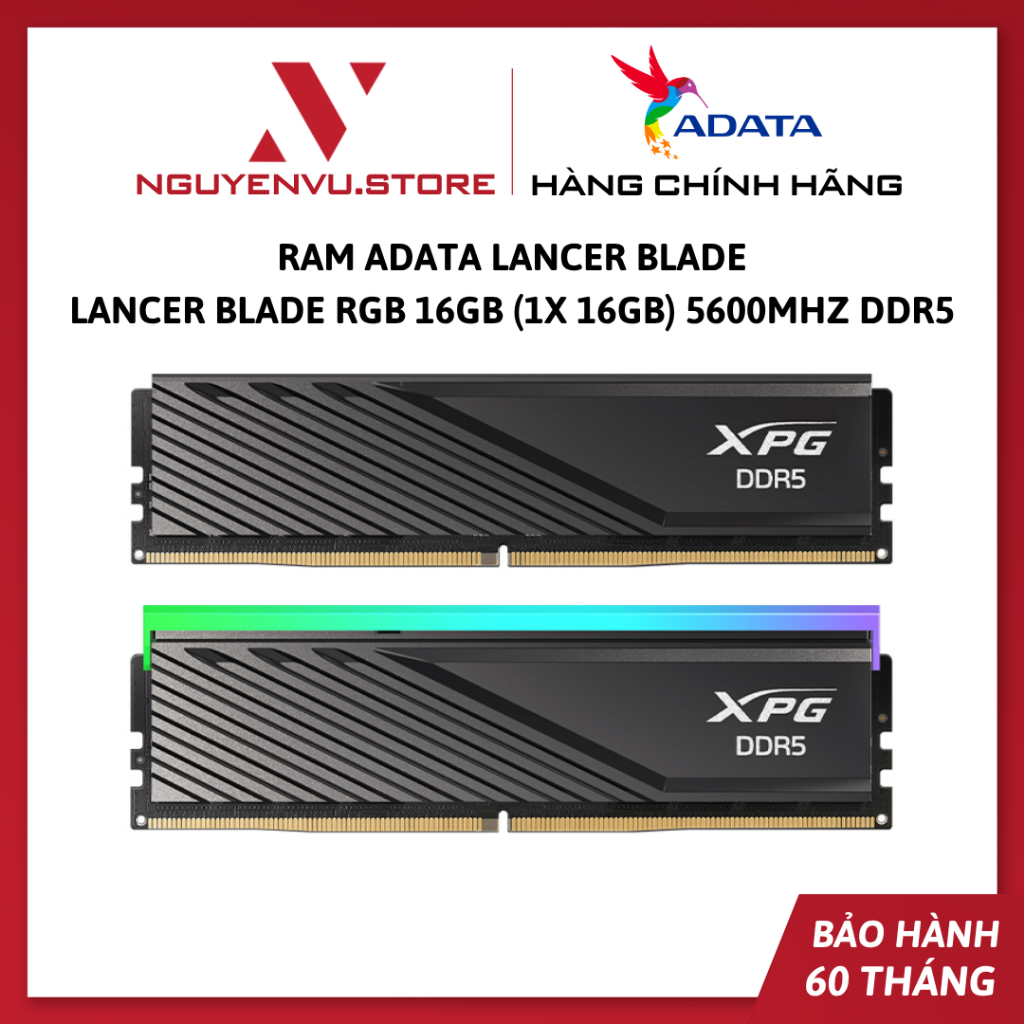 Ram Adata Lancer Blade / Lancer Blade RGB 16Gb (1x 16Gb) 5600Mhz DDR5 - Hàng chính hãng