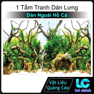 Tranh 3d Decal có sẵn keo, Tranh Dán Bể Cá Thủy Sinh, Bể Cá Rồng (Tranh Dán Lưng)_TS 107