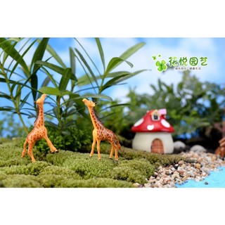 [GIÁ SỈ] ĐỘNG VẬT TRANG TRÍ TIỂU CẢNH SEN ĐÁ, BỂ CÁ, MÔ HÌNH