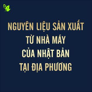 [Premium + Quà Tặng] - 1 Lít Dầu Cá Hồi Cho Thú Cưng - Cafe Mèo – Bổ Sung Omega 3 & Vitamin E Giúp Mượt Lông, Giảm Rụng