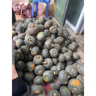 Bí đỏ hạt dẻ - 1kg khoảng 2-3 trái (giao hcm)