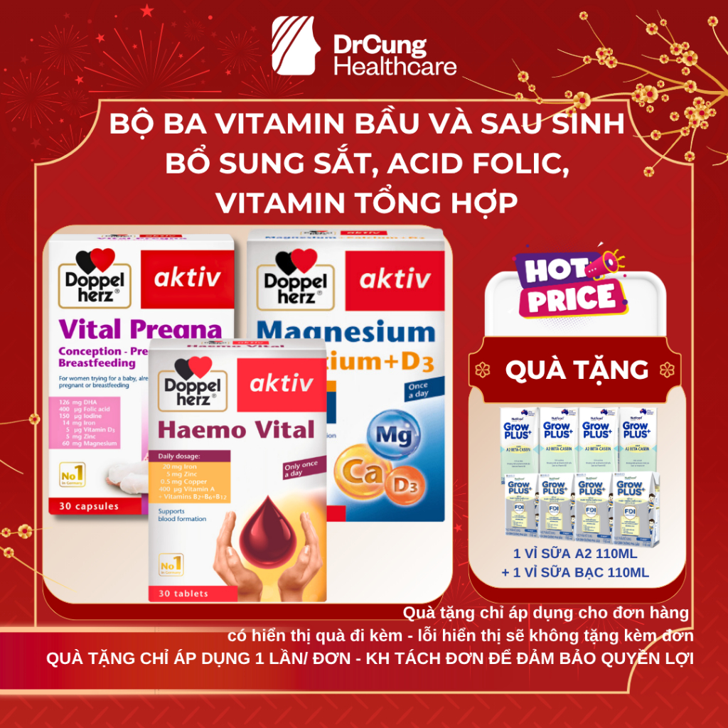 DR CUNG BỘ BA Vitamin Bầu VITAL PREGNA, MAGNESIUM CALCIUM D3, HAEMO VITAL - Vitamin Tổng Hợp, Canxi,