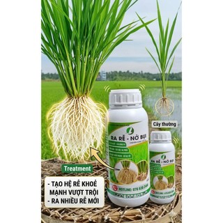 RA RỄ NỞ BỤI CHUYÊN LÚA, NỞ BỤI NHANH, CẢI TẠO ĐẤT, TIẾT KIỆM PHÂN BÓN GỐC - CHAI 1 LÍT
