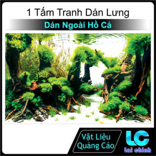Decal dán hồ cá 3d, Tranh Dán Bể Cá Thủy Sinh, Bể Cá Rồng (TRANH LƯNG)_TS 290